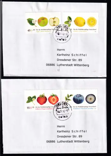 Wohlfahrt 2010 Obst auf 2 FDC