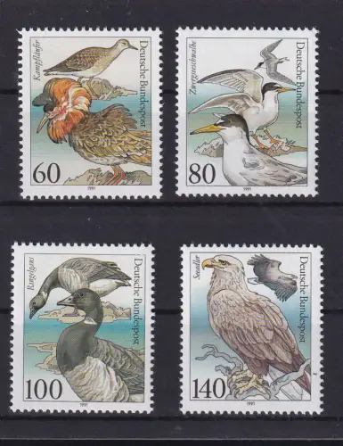 Bedrohte seevögel, **
