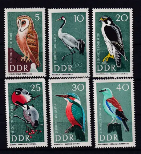 Geschützte Vögel, **