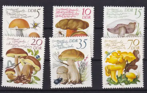 Europäische Speisepilze, ***