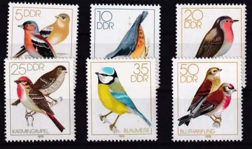 Heimische Singvögel,**