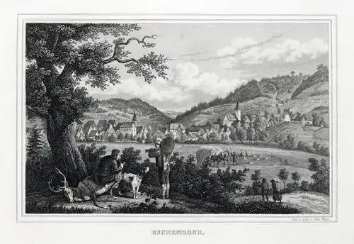 Eschenbach - Oberpfalz - Gesamtansicht - Stahlstich um 1850