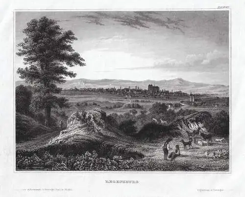 Regensburg. Gesamtansicht. Originaler Stahlstich um 1840