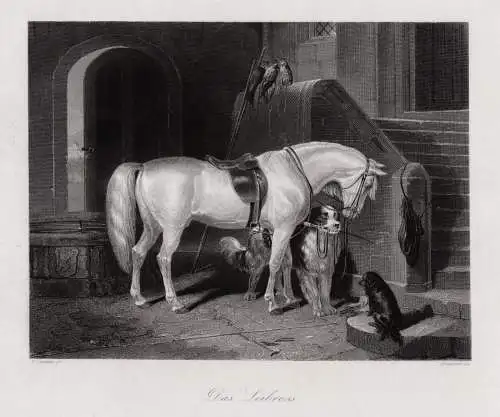 Pferd. Das Leibross. Originaler Stahlstich, n. Landseer um 1850