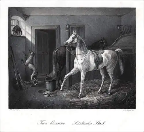 Städtischer Stall. Originaler Stahlstich, n. Adam um 1850