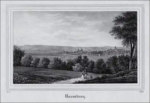 Naumburg. Gesamtansicht. Lithographie aus Saxonia um 1840