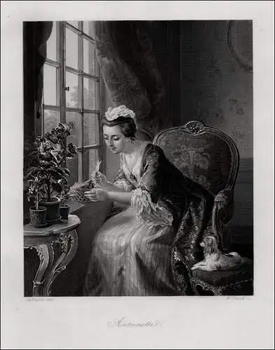 Antoinette. Dame mit Hund Originaler Stahlstich nach DeBruycker um 1850