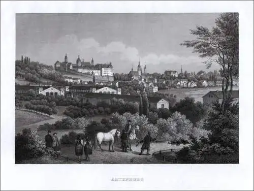 Altenburg. Gesamtansicht.. Originaler Stahlstich, BI Prachtausgabe um 1860