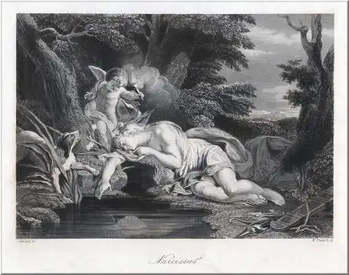 Mythologie. Narcissus. Originaler Stahlstich, French um 1850