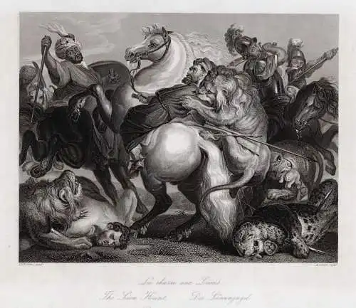 Die Löwenjagd. Originaler Stahlstich n. Rubens um 1850