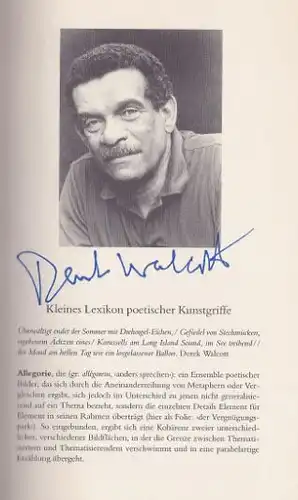 Walcott, Derek: Gedichte, Ausgewählt von Raoul Schrott, Siegfried Völler und Michael Krüger. 