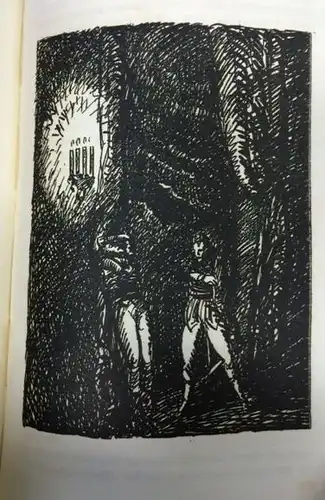 Hoffmann, Ernst T. A: Phantastische Geschichten, Eingeleitet von Ferruccio Busoni. Illustriert von Ernst Stern. 