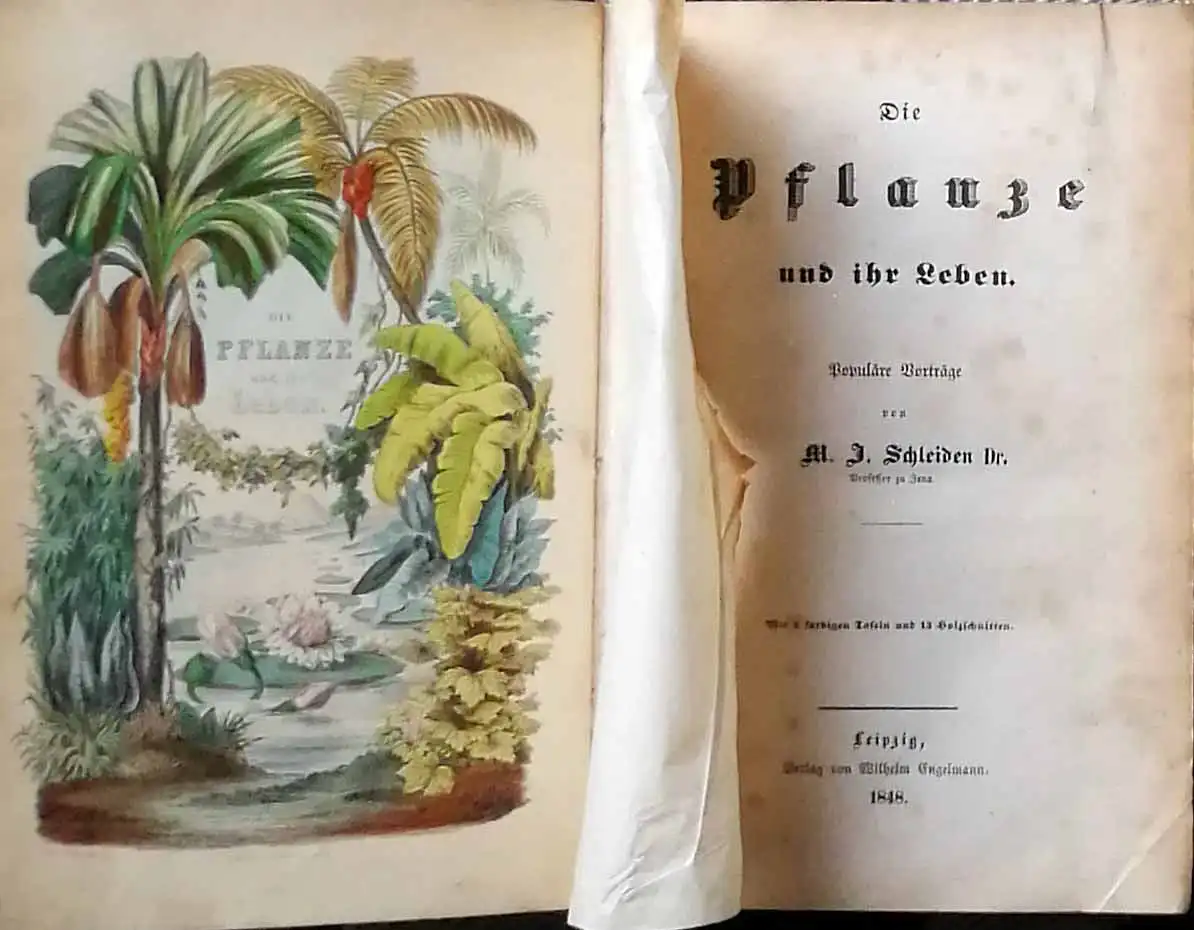 Schleiden, M. J.,  Dr: Die Pflanze und ihr Leben. - Populäre Vorträge. 
