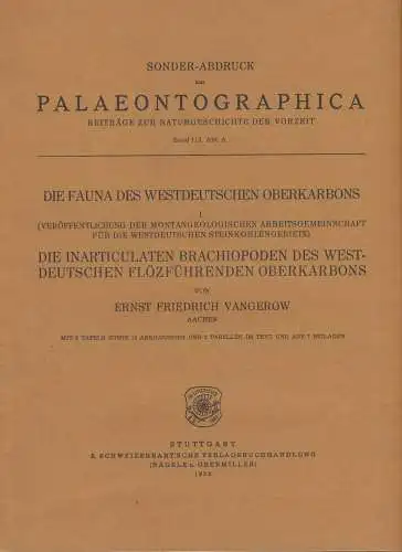 Vangerow, Ernst Friedrich: Die Fauna des westdeutschen Oberkarbons I - Die inarticulaten Brachiopoden des westdeutschen flözführenden Oberkarbons. 
