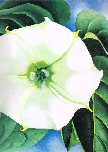 O`Keeffe, Georgia: Blumen. Hrsg. von Nicholas Callaway. [Übers. aus d. Amerikan. von Peter Kobbe]. 