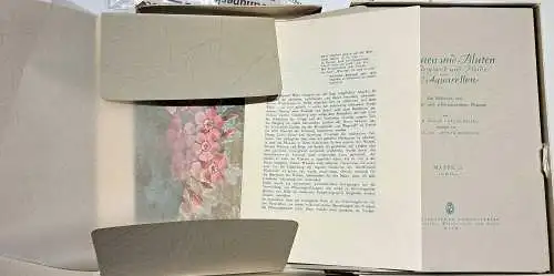 Riefel, Carlos, Akadem. Maler und Lothar, Dr. Machura: Blumen und Blüten aus Bergland und Heide nach 80 Auqarellen. (6 Mappen in Schatulle). 