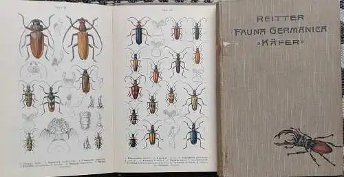 Reitter, Edmund: FAUNA  GERMANICA. - Die Käfer des Deutschen Reiches. -  5 Bände KOMPLETT ! - Nach der analytischen Methode bearbeitet. Zusammengestellt und redigiert von Dr. K.G. Lutz. 