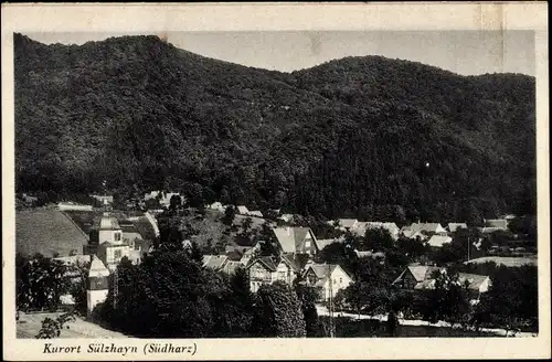 Ak Sülzhayn Ellrich im Südharz, Teilansicht des Ortes am Waldrand