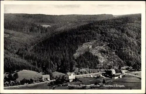Ak Holzhau Rechenberg Bienenmühle Erzgebirge, Richters Sommerfrische, Wald