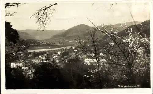 Foto Ak Velke Velké Březno Großpriesen Region Aussig, Panorama der Stadt, Frühlingsblüte