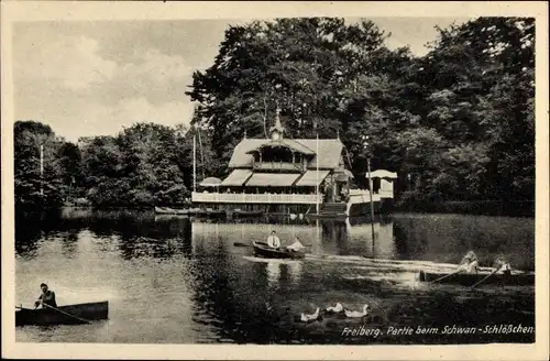 Ak Freiberg im Kreis Mittelsachsen, Partie beim Schwanenschlösschen, Ruderboote, Schwäne