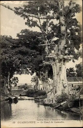 Ak Guadeloupe, Le Canal du Lamentin, Baum, Boot