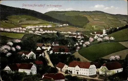 Ak Steinseifersdorf im Eulengebirge Schlesien, Panoramablick über den Ort,  Umland mit Feldern