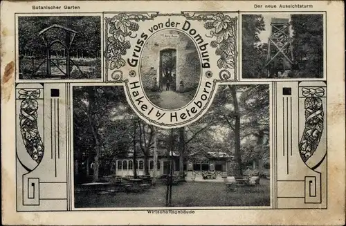 Ak Heteborn Selke Aue Sachsen Anhalt, Gruß von der Domburg, Hakel, Botanischer Garten, Aussichtsturm