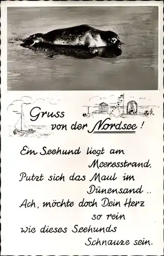 Ak Gruß von der Nordsee, Ein Seehund liegt am Meeresstrand, Gedicht