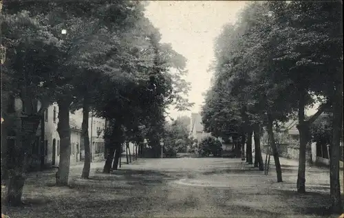 Ak Neustadt an der Orla, Partie am Lindenplatz, Bäume, Wohnhäuser