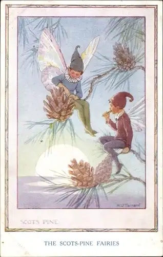 Künstler Ak Tarrant, Margaret W., The Scots Pine Fairies, Feen auf einem Nadelbaum, Zapfen, Sonne 