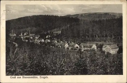 Ak Rechenberg Bienenmühle Erzgebirge, Gesamtansicht des Ortes, Panorama