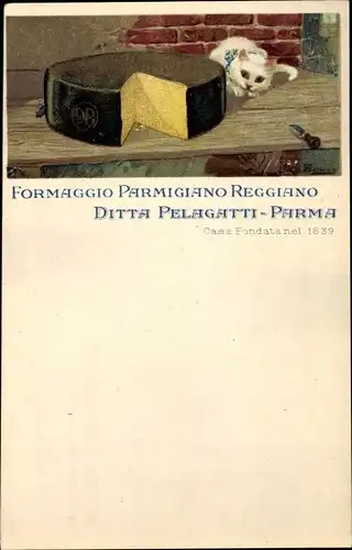 Litho Formaggio Parmigiano Reggiano, Ditta Pelagatti Parma, Käse, Hauskatze