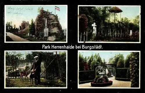 Ak Burgstädt in Sachsen, Blick in den Park Herrenhaide, Grünanlage