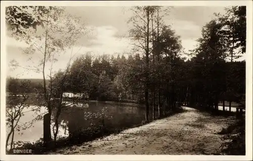 Ak Kaisersbach im Rems Murr Kreis, Partie am Ebnisee, Wald