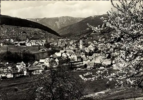 Ak Stosswihr Stoßweier Ampfersbach Elsass Haut Rhin, Panoramaansicht zur Baumblüte