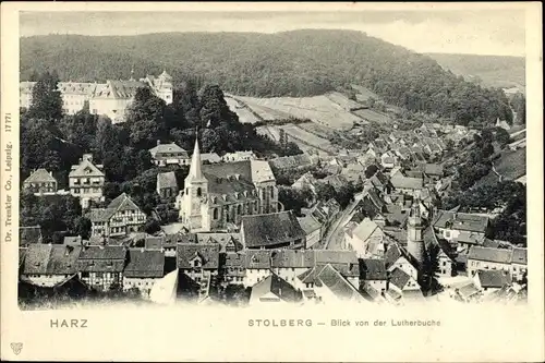 Ak Stolberg Südharz, Blick auf den Ort mit Umgebung von der Lutherbuche