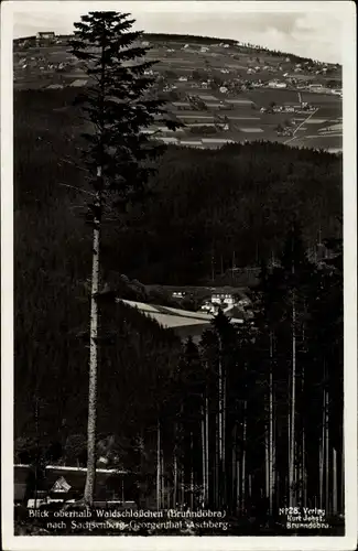 Ak Brunnbdöbra Klingenthal in Sachsen, Blick oberhalb Waldschlösschen nach Ort, Wald