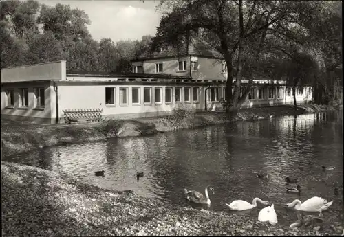 Ak Heilbad Heiligenstadt Eichsfeld Thüringen, Blick auf Kneippbad, See, Schwäne und Enten