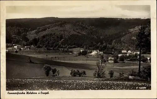 Ak Holzhau Rechenberg Bienenmühle Erzgebirge, Blick über den Ort, Felder, Wälder