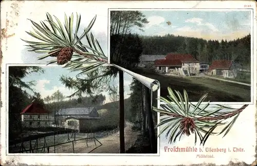 Passepartout Ak Eisenberg in Thüringen, Froschmühle, Mühltal