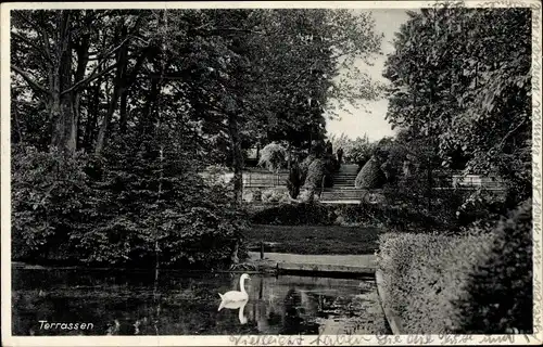 Ak Rosdorf Landkreis Göttingen Niedersachsen, Rasemühle, Terrassen, Gartenanlage