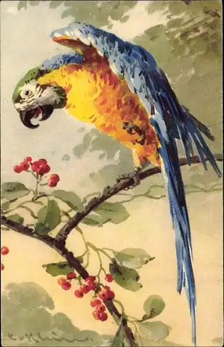 Künstler Ak Klein, Catharina, Ein Papagei auf einem Ast, Beeren, gelb blau grüne Federn