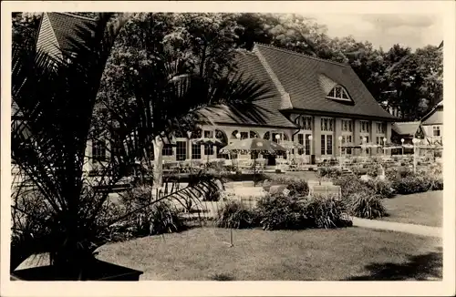 Ak Wernigerode am Harz, Kurgarten Storchmühle, Rudolf Kindermann, Außenbereich