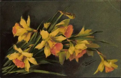 Künstler Ak Klein, Catharina, Gelbe Blüten, Blumen, Narzissen