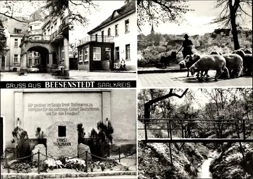 Ak Beesenstedt Salzatal Sachsen Anhalt, Thälmann Denkmal, Schäfer mit Herde, Brücke, Kindergarten