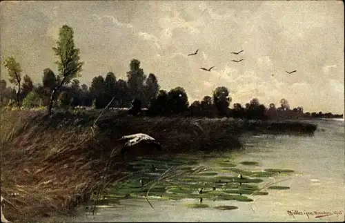 Künstler Ak Müller, M. jun., Storch über dem Wasser fliegend