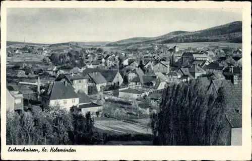 Ak Eschershausen in Niedersachsen, Vogelschau auf den Ort, Wilhelm Raabes Heimatstadt