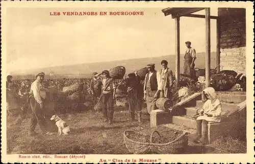 Ak Les Vendanges en Bourgogne, Männer bei der Weinlese, Weinberg