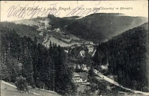 Ak Bärenfels Altenberg im Erzgebirge, Blick vom Hotel Kaiserhof ins Tal Kipsdorf
